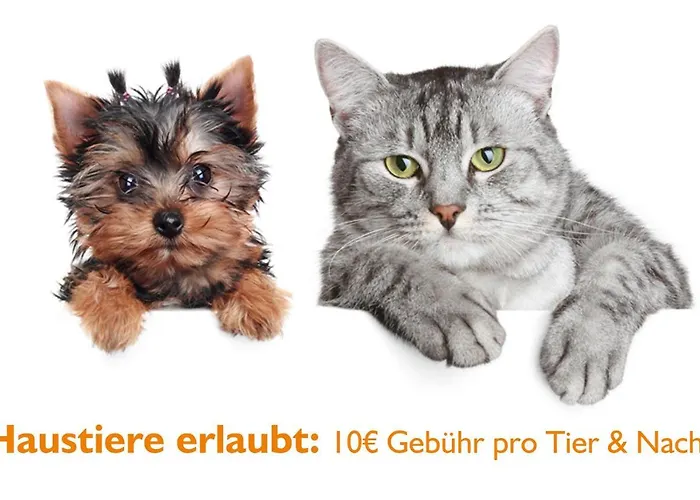 Seehotel فندق 4*